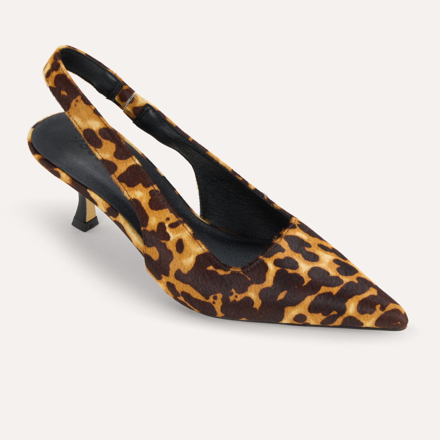 HAVEN IN LEOPARD LEOPARD - Yosi Samra -
