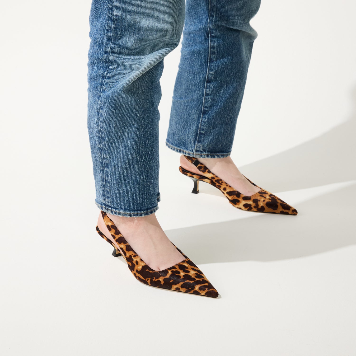 HAVEN IN LEOPARD LEOPARD - Yosi Samra -