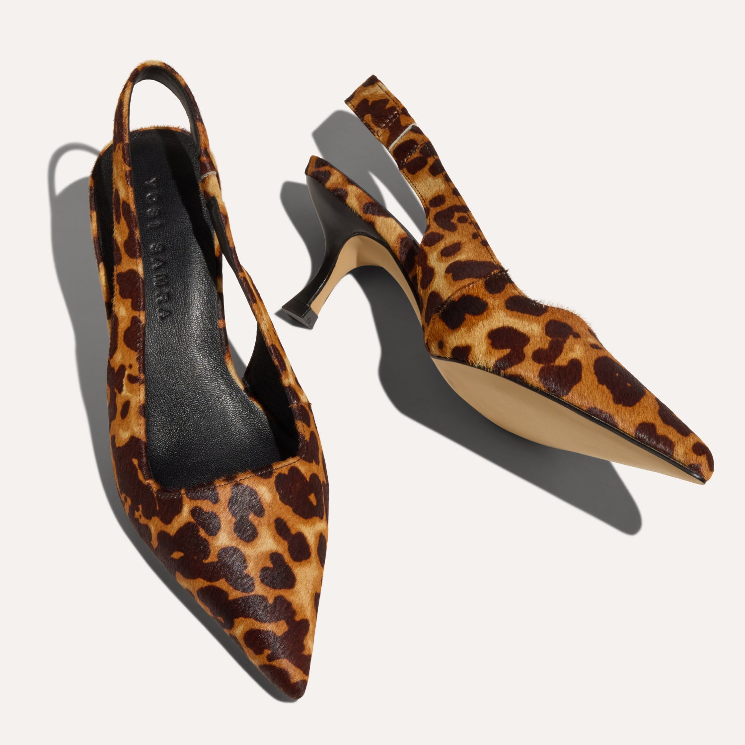 HAVEN IN LEOPARD LEOPARD - Yosi Samra  - 