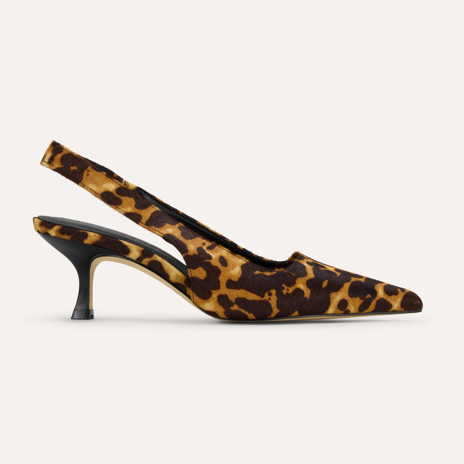 HAVEN IN LEOPARD LEOPARD - Yosi Samra  - 