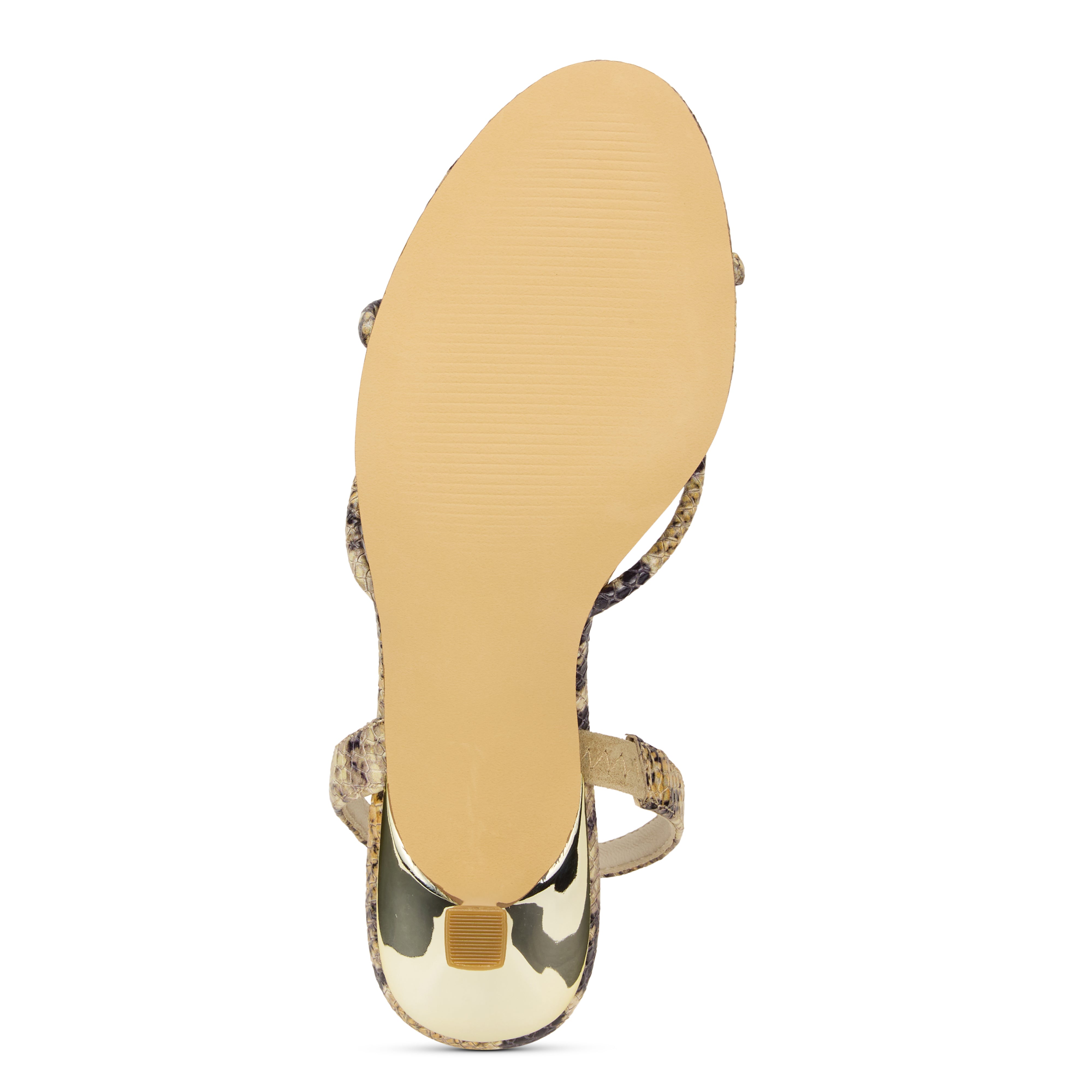 KAIAPythonBottom00003.jpg